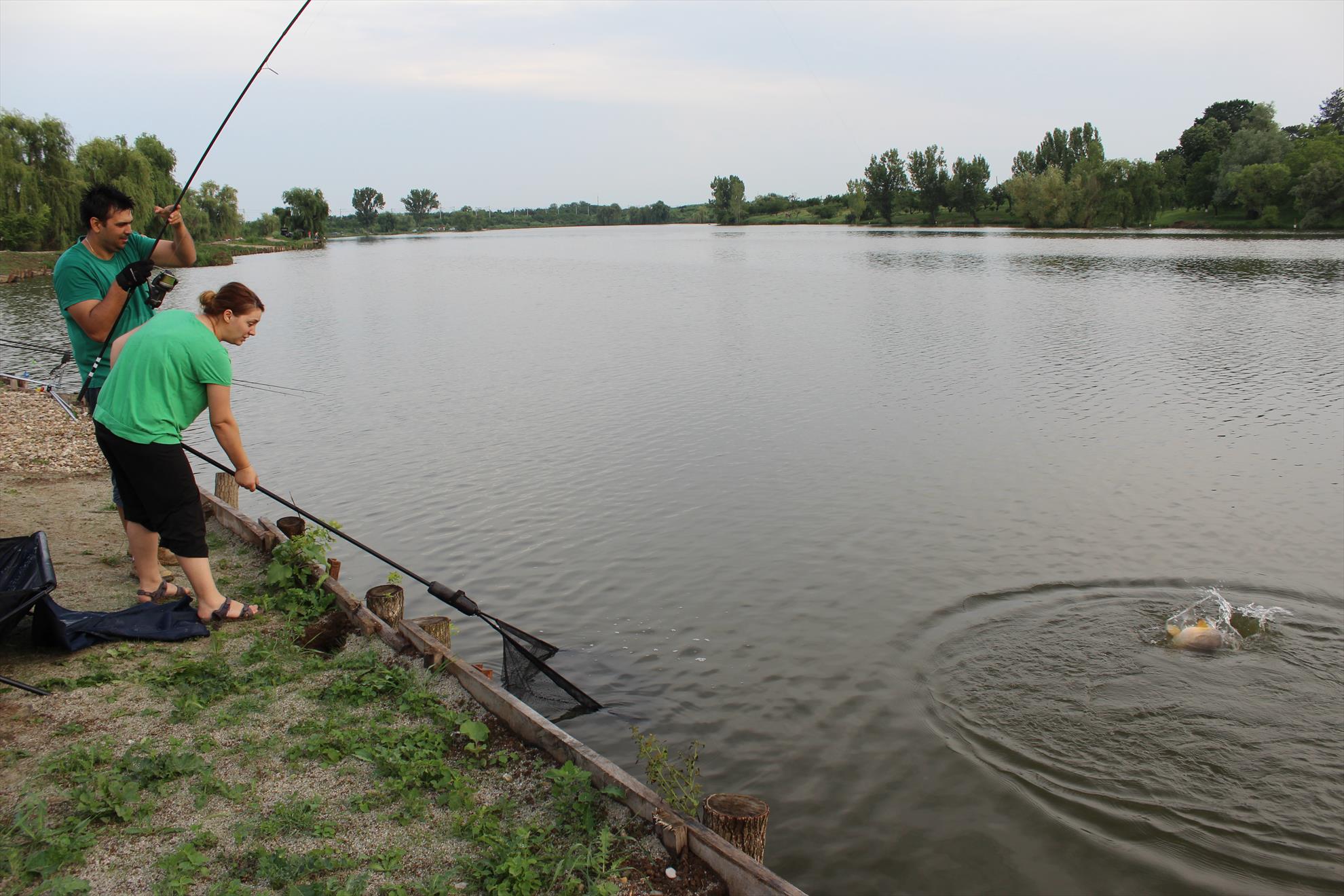 Hermes Peris 7 - 8 iunie 2014 - img7364.JPG